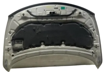 2009 - 2014 Nissan Murano HOOD PANEL